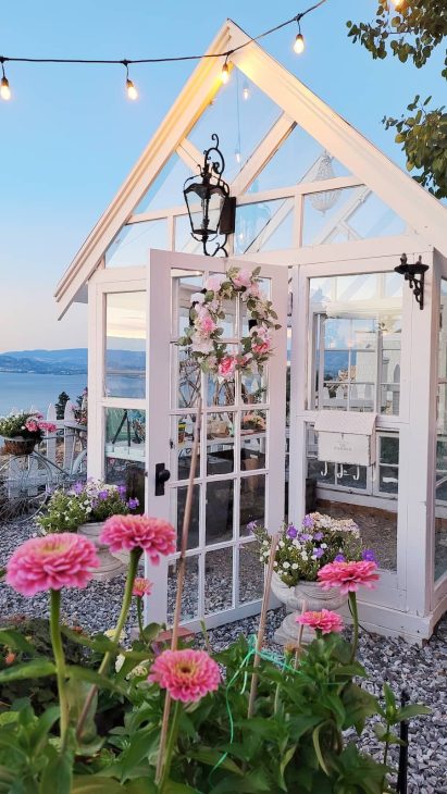 Vintage window greenhouse with pink zinnias growing in front